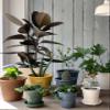 Yahata Kasei 242628 Eco Pot, Shallow Type, No. 10 (3.6 gal (11 L), Green, Papier Hachiman Gardens Papier, Made in Japan view 2