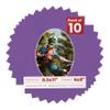 8.5x11 Mat Bevel Cut for 6x8 Photos - Precut Dark Purple Oval Shaped Photo Mat Board Opening - Acid Free Matte to Protect Your Pictures - Bevel Cut for Family Photos, Pack of 10 Matboards view 1