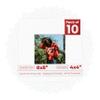 8x8 Mat Bevel Cut for 4x4 Photos - Precut Oyster Shell White Square Shaped Photo Mat Board Opening - Acid Free Matte to Protect Your Pictures - Bevel Cut for Family Photos, Pack of 10 Matboards view 1