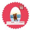 8x10 Mat Bevel Cut for 5.5x8.5 Photos - Precut Cardinal Red Oval Shaped Photo Mat Board Opening - Acid Free Matte to Protect Your Pictures - Bevel Cut for Family Photos, Pack of 10 Matboards view 1