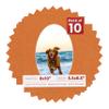8x10 Mat Bevel Cut for 5.5x8.5 Photos - Precut Basketball Texture Oval Shaped Photo Mat Board Opening - Acid Free Matte to Protect Your Pictures - Bevel Cut for Family Photos, Pack of 10 Matboards view 1