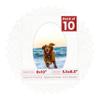 8x10 Mat Bevel Cut for 5.5x8.5 Photos - Precut White Linen Canvas Oval Shaped Photo Mat Board Opening - Acid Free Matte to Protect Your Pictures - Bevel Cut for Family Photos, Pack of 10 Matboards view 1