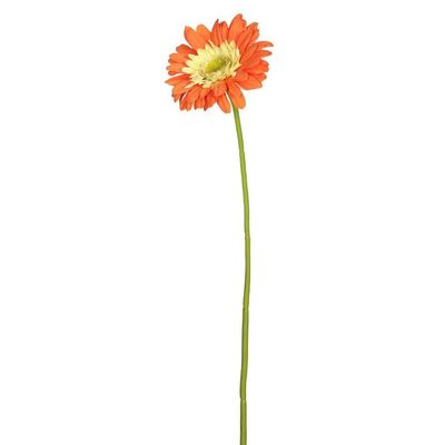 Vickerman 463963-21" Gerbera Daisy -Orange (PK/6) (FH170702) Home Office Flowers