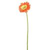 Vickerman 463963-21" Gerbera Daisy -Orange (PK/6) (FH170702) Home Office Flowers view 1