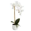 47th & Main Artificial Flowers in Pot Tabletop Dcor, 17" High, White Orchid view 1