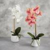 47th & Main Artificial Flowers in Pot Tabletop Dcor, 17" High, White Orchid view 2