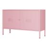 LINGZOE 2 Door Steel Storage Cabinet Pink TV Stand for Living Room,Metal Locker Storage Cabinet for Bedroom Balcony view 1