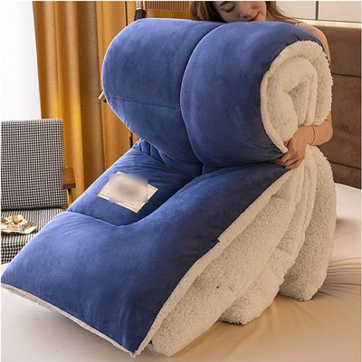 LOYONA Thick Warm Cashmere Blanket Bedding, Winter Quilt Thicken Lamb Cashmere Duvet for Winter Double Bed, Bedding, Double Sided Thicken Winter Quilt ( Color : D , Size : 200x230cm )