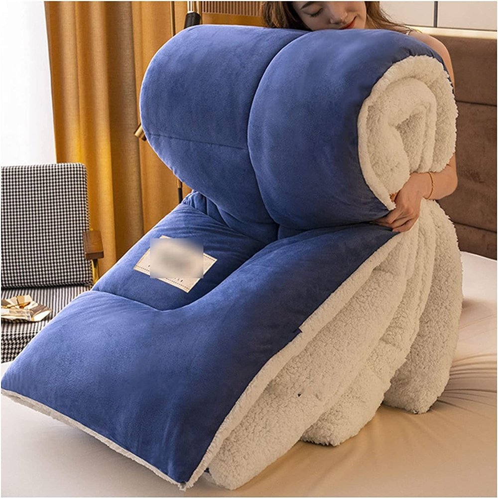 LOYONA Thick Warm Cashmere Blanket Bedding, Winter Quilt Thicken Lamb Cashmere Duvet for Winter Double Bed, Bedding, Double Sided Thicken Winter Quilt ( Color : D , Size : 200x230cm )