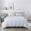 1Pcs Comforter 100% Egyptian Cotton 800 Thread Count - Super King Plus Size (120" x120") Inch,Soft and Breathable Comforter - White Stripe view 2