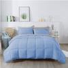 1Pcs Comforter 100% Egyptian Cotton 800 Thread Count - Super King Plus Size (120" x120") Inch,Soft and Breathable Comforter - Light Blue Stripe view 2