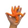 1Pc Handmade Ceramic Starfish Tile, Coastal Wall Decor For Home, Swimingpool Aquarium or Fish Tank, Beach Lover Gift for Women (14cm/5.2in Diameter, Orange) view 3