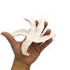 1Pc Handmade Ceramic Starfish Tile, Coastal Wall Decor For Home, Swimingpool Aquarium or Fish Tank, Beach Lover Gift for Women (14cm/5.2in Diameter, Orange) view 4