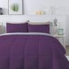 3Pcs Comforter Set 100% Egyptian Cotton 800 Thread Count - Super King Plus Size (120" x120") Inch,Soft and Breathable Comforter Set - Plum Solid view 3