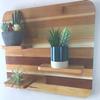 Floating Wall Plant Shelf 24" x 18" - Shelving for Walls - Beautiful Plant Stand - Made with Reclaimed Wood - Rounded Corners - Living Room - Entryway (Rounded Corners) view 3