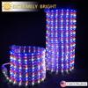 Peng Lights LED Patriotic Rope Lights connectable Flexible Waterproof America's Favorite Color Red White Blue (100 feet) view 4