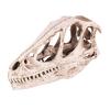Watris Veiyi Dinosaur Skull Sculpture, Resin Material, Lifelike Decor for Home, Office, Aquarium, Gift for Dinosaur Lovers view 1