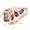 Watris Veiyi Dinosaur Skull Sculpture, Resin Material, Lifelike Decor for Home, Office, Aquarium, Gift for Dinosaur Lovers view 2