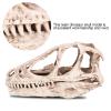 Watris Veiyi Dinosaur Skull Sculpture, Resin Material, Lifelike Decor for Home, Office, Aquarium, Gift for Dinosaur Lovers view 3