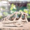 Watris Veiyi Dinosaur Skull Sculpture, Resin Material, Lifelike Decor for Home, Office, Aquarium, Gift for Dinosaur Lovers view 4