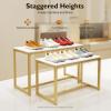 CeRaBuRET Metal Shoe Handbag Display Stand, Nesting Tables 2 Piece Set, Gold and White Display Riser Shelf, Retail Display Tables, Handbags Shelf for Home Clothing Shop Hotel view 3
