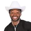 Beistle Novelty Felt Cowboy Hat For Country Western Theme Wild West Party Supplies, Halloween Costume Dress Up view 4