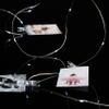 Ashland 45ct. Cool White LED Clear Clip Lights, 12 Pack view 2