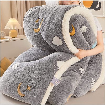Winter Quilt, Thick Warm Cashmere Blanket Bedding Hollowfiber Duvet, Ultra Soft Plush Shaggy Faux Fur Duvet Cover Queen, Thicken Lamb Cashmere Duvet for Bedroom ( Color : Colour1 , Size : 180x220cm )