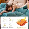 Pealihuy Comforter, Winter Quilt Thicken Lamb Cashmere Duvet for All Seasons, Soft and Durable Heavy Quilts, Machine Washable,Green,200x230cm(5kg) view 3
