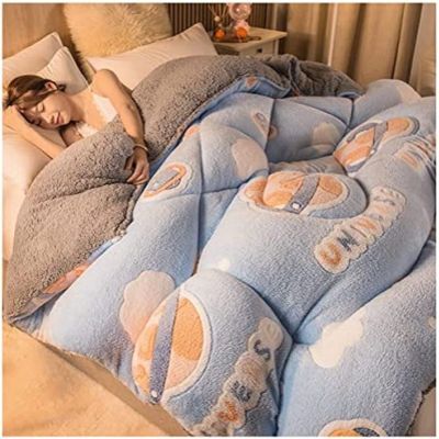 Pealihuy Comforter Cotton Duvet Insert Twin Winter Soft Warm Bed Quilt Thicken Lamb Cashmere Blanket for Twin Bed, for All Season,Z,150x200cm(3kg)