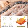 Pealihuy Comforter Cotton Duvet Insert Twin Winter Soft Warm Bed Quilt Thicken Lamb Cashmere Blanket for Twin Bed, for All Season,Z,150x200cm(3kg) view 3