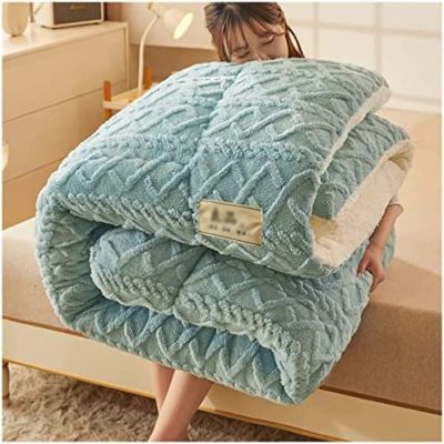 Pealihuy Winter Quilt Thicken Lamb Cashmere Duvet, Warm Heavy Blankets for Winter Double Bed, Bedding Fleece Quilts for Home Bedroom,C,200x230cm/5kg