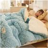 Pealihuy Winter Quilt Thicken Lamb Cashmere Duvet, Warm Heavy Blankets for Winter Double Bed, Bedding Fleece Quilts for Home Bedroom,C,200x230cm/5kg view 3