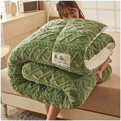 Pealihuy Winter Quilt Thicken Lamb Cashmere Duvet, Warm Heavy Blankets for Winter Double Bed, Bedding Fleece Quilts for Home Bedroom,B,150x200cm/3kg