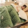 Pealihuy Winter Quilt Thicken Lamb Cashmere Duvet, Warm Heavy Blankets for Winter Double Bed, Bedding Fleece Quilts for Home Bedroom,B,150x200cm/3kg view 3