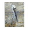 USA Artist Paul Brent - 'Coastal Pelican Bird Abstract Portrait', Canvas Art, 16 x 20inches - Hanging Wall Dcor (1.5in Depth) - Made in Rhode Island by Stupell Industries view 1