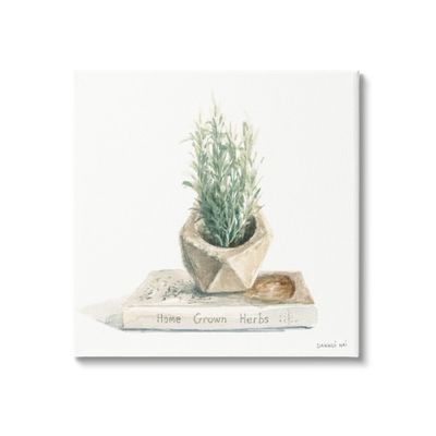 Stupell Industries Modest Herb Planter Book Canvas Wall Art, Design by Danhui Nai