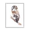 Stupell Industries Perched Owl Gazing Watercolor Style Framed Wall Art, Design by Annie Warren view 1