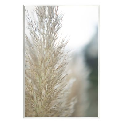 Stupell Industries Natural Pampas Grass Photography Scene Wood Wall Art, Design by Jason Johnson