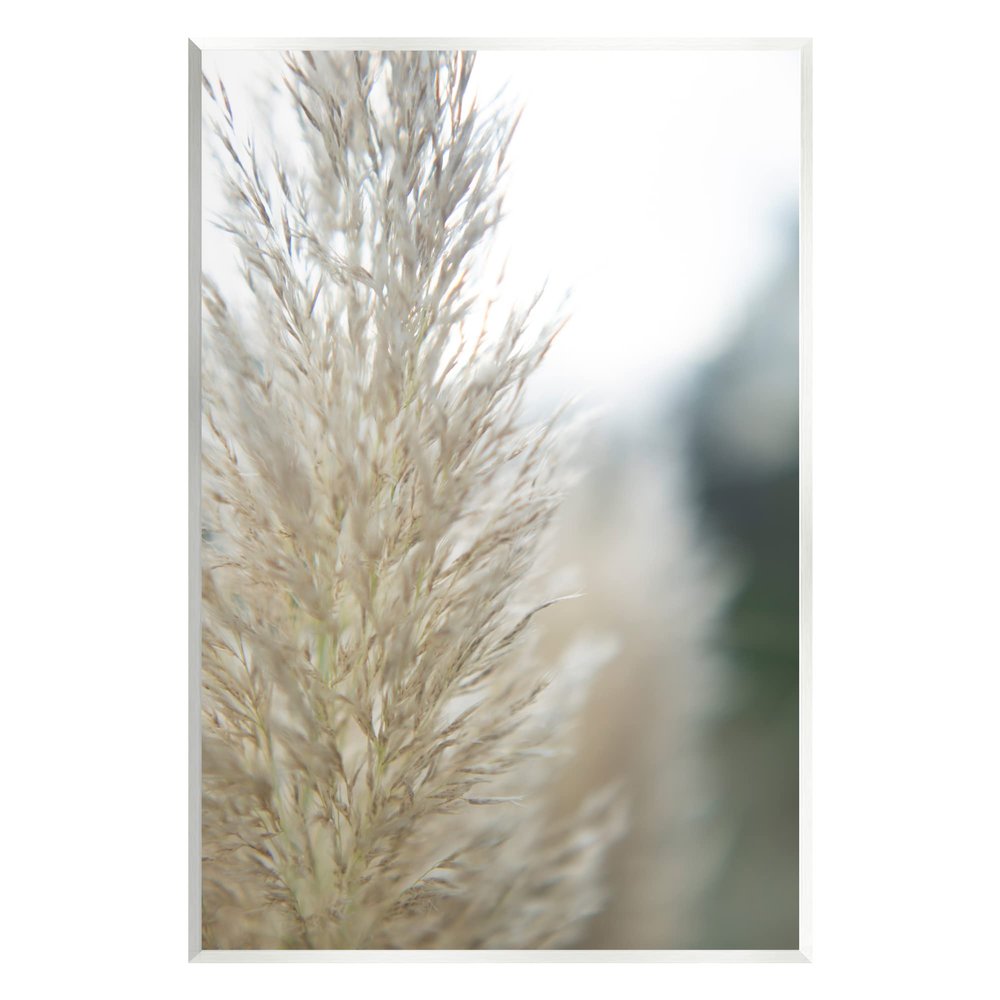 Stupell Industries Natural Pampas Grass Photography Scene Wood Wall Art, Design by Jason Johnson