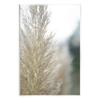 Stupell Industries Natural Pampas Grass Photography Scene Wood Wall Art, Design by Jason Johnson view 1