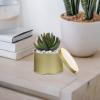 Yardwe Decorative Mini Metal Can Pots 6 Pack for Succulents Cactus Garden view 2