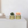 Yardwe Decorative Mini Metal Can Pots 6 Pack for Succulents Cactus Garden view 3