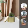 Yardwe Decorative Mini Metal Can Pots 6 Pack for Succulents Cactus Garden view 4