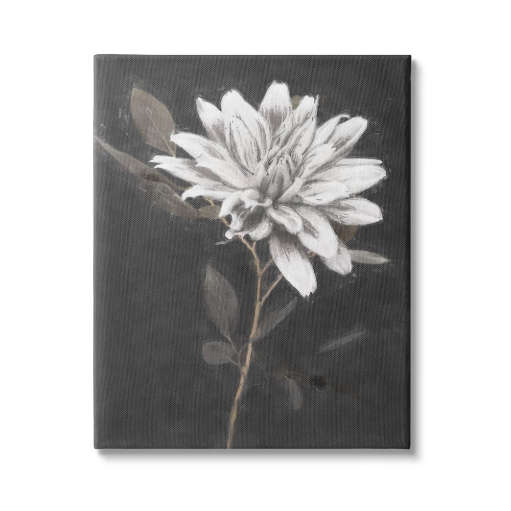 Stupell Industries Blooming Dahlia Flower Black Background Canvas Wall Art, Design by Nina Blue