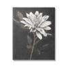 Stupell Industries Blooming Dahlia Flower Black Background Canvas Wall Art, Design by Nina Blue view 1