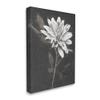 Stupell Industries Blooming Dahlia Flower Black Background Canvas Wall Art, Design by Nina Blue view 2