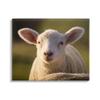 Stupell Industries Gazing Farm Sheep Photograph Canvas Wall Art, Design by Daphne Polselli view 1