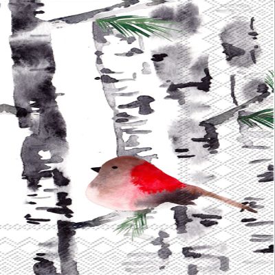 Christmas Holiday Guest Towels 32 CT - Decorative Paper Napkins for Buffet Kitchen or Bathroom Fingertip Hand Towels, Bird in Birch Design