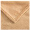 YingShi Art Fiber Polyester Coral Fleece Blanket,Black 50cmx70cm, Suitable for All Seasons. view 2